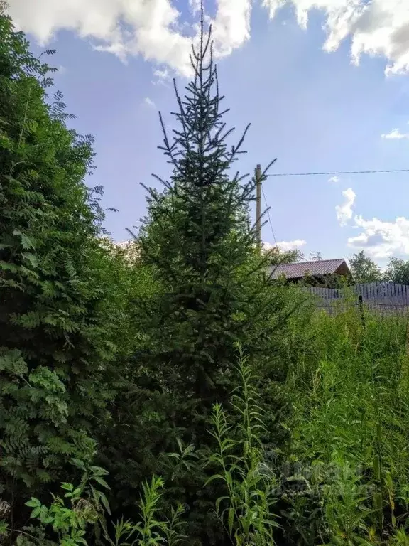 Дом в Владимирская область, Владимир сад Сунгирь, 5 (15 м) - Фото 0