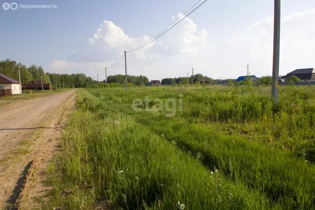 Участок в село Упорово, Радужная улица (15 м) - Фото 1