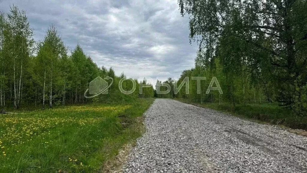 Участок в Тюменская область, Тюменский район, Новокаменский кп ул. ... - Фото 0