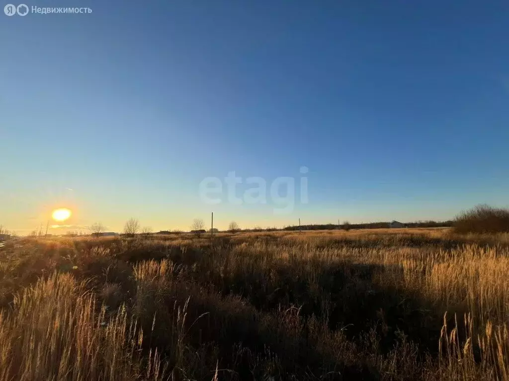 Участок в Костромской район, Бакшеевское сельское поселение, деревня ... - Фото 2