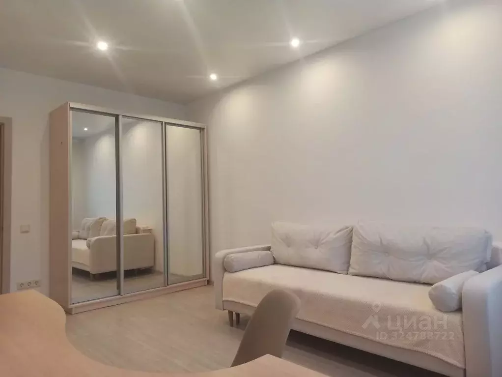 1-к кв. Московская область, Ногинск Богородский городской округ, ул. ... - Фото 2