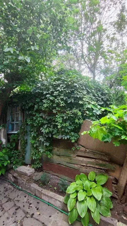 1-к кв. Ростовская область, Новочеркасск ул. Грекова (27.0 м) - Фото 0