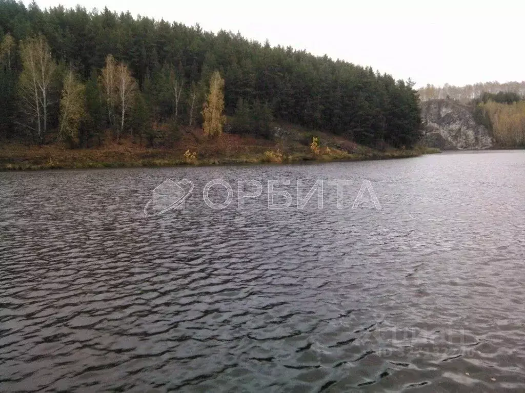 Участок в Тюменская область, Тюменский муниципальный округ, Каменское ... - Фото 2