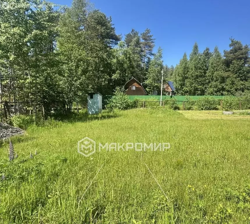 Участок в Сертоловское городское поселение, садоводческое ... - Фото 1