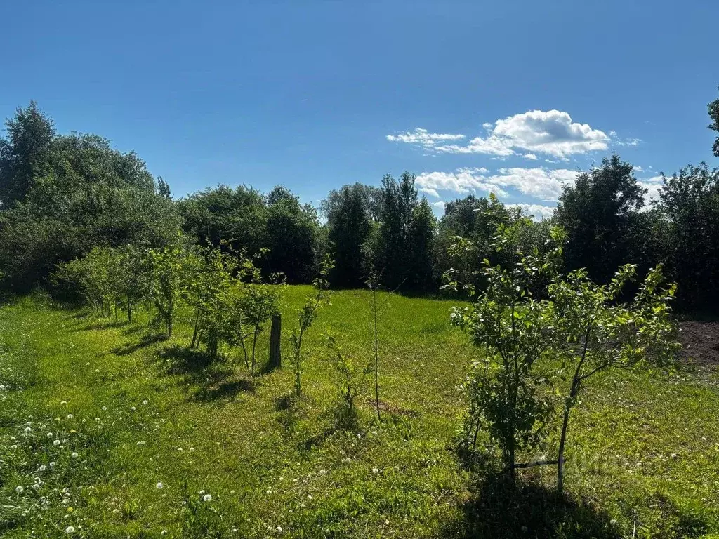 Участок в Нижегородская область, Сосновский муниципальный округ, д. ... - Фото 2