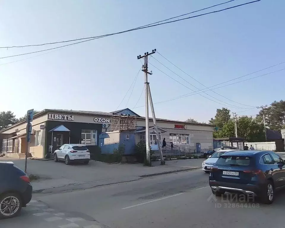 Помещение свободного назначения в Пермский край, Пермь ул. 5-я Линия, ... - Фото 2