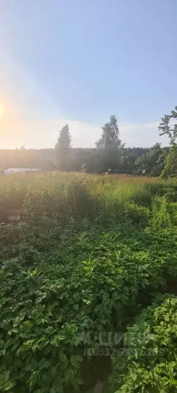 Участок в Москва пос. Знамя Октября, Березки СНТ, 20к4 (9.5 сот.) - Фото 0