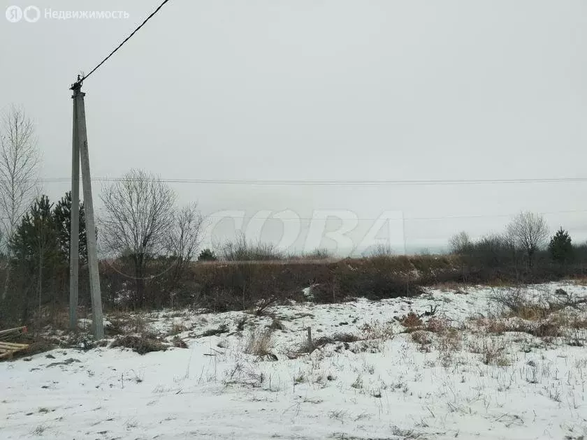 Участок в Тюменский район, село Червишево (14.6 м) - Фото 0