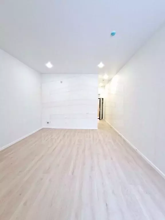 Студия Московская область, Люберцы Октябрьский просп., 403 (36.5 м) - Фото 2