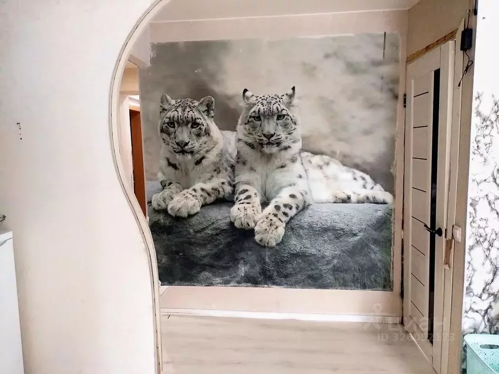 2-к кв. Камчатский край, Петропавловск-Камчатский ул. Капитана ... - Фото 1