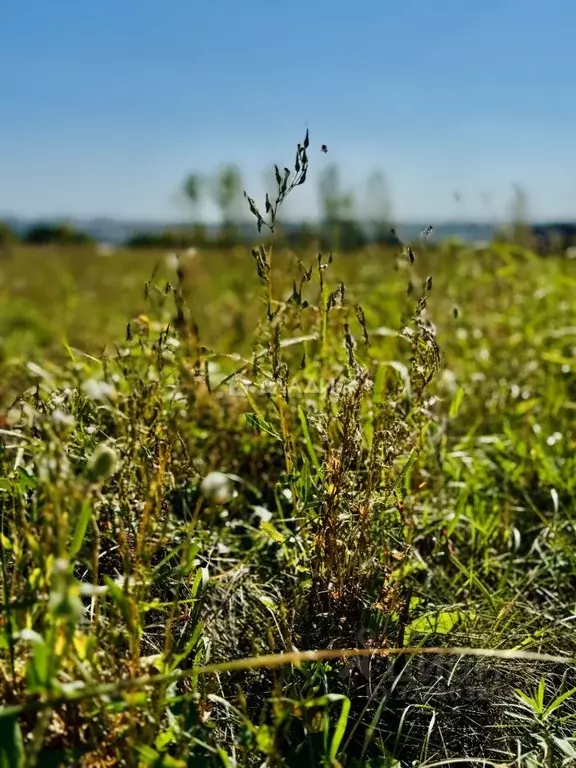 Участок в Белгородская область, Старый Оскол ул. Казацкая, 35 (15.0 ... - Фото 2