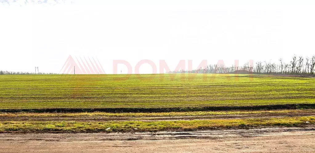 Участок в Ростовская область, Аксайский район, Щепкинское с/пос, пос. ... - Фото 1