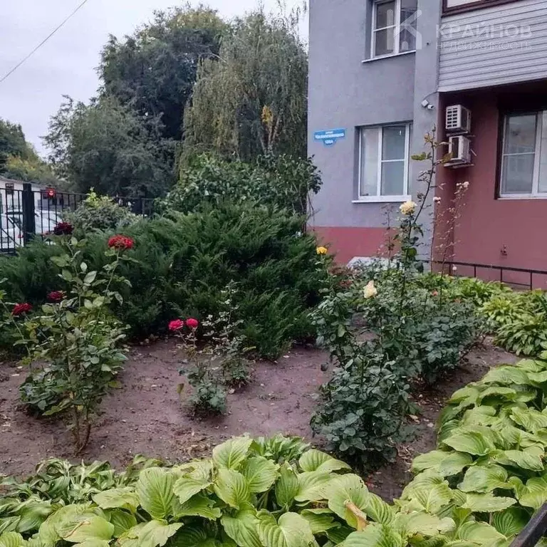 2-к кв. Воронежская область, Воронеж ул. Челюскинцев, 136А (50.7 м) - Фото 1