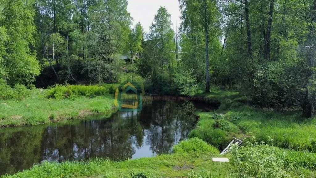 Участок в Ленинградская область, Всеволожский район, Куйвозовское ... - Фото 2