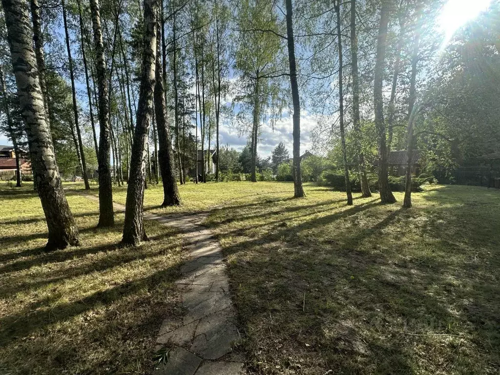 Участок, 62 сот., сельхоз (снт или днп) - Фото 0