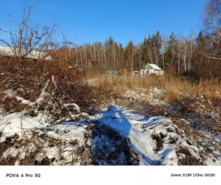 Участок в Рязанская область, Шиловское городское поселение, Тырница ... - Фото 2