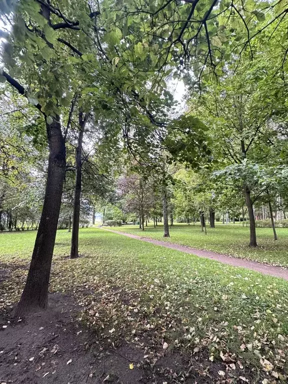 4-к кв. Санкт-Петербург Приморский просп., 14 (119.3 м) - Фото 2