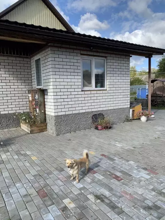 Дом в Брянская область, Брянск Большое Полпино пгт, 2-й Кирпичный пер. ... - Фото 2