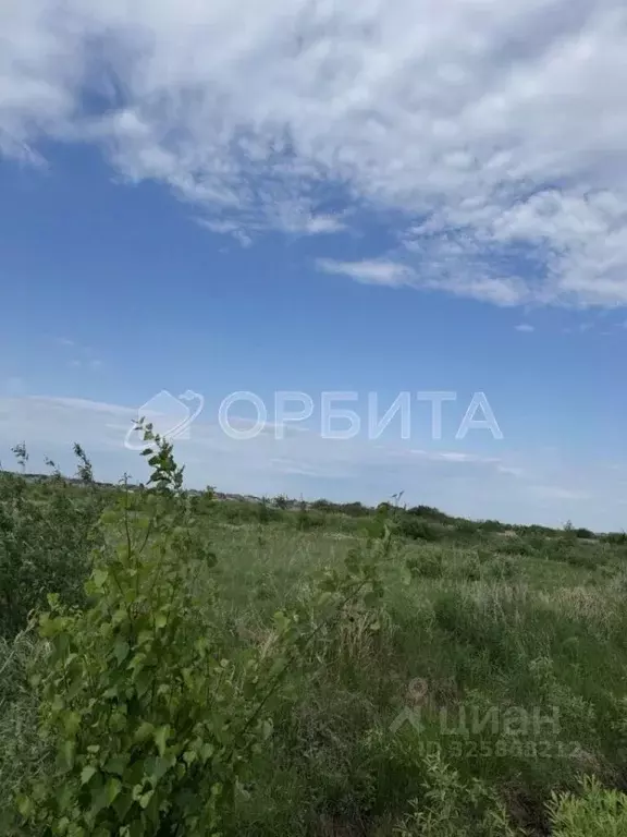 Участок в Тюменская область, Тюменский муниципальный округ, д. ... - Фото 1