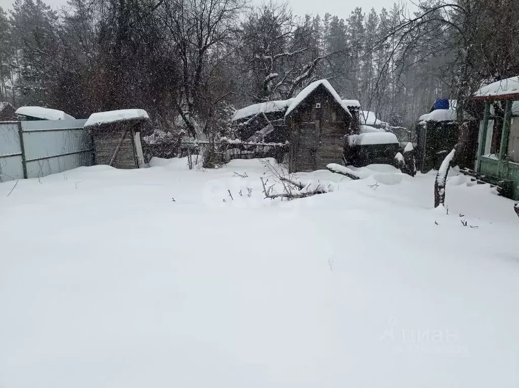 Участок в Воронежская область, Воронеж Дон СНТ, ул. Кулинарная (6.0 ... - Фото 2