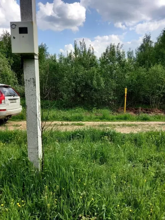 Участок в Владимирская область, Александровский район, Андреевское ... - Фото 0