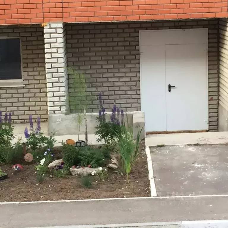 Помещение свободного назначения в Коми, Сыктывкар Школьная ул., 2/2 ... - Фото 2