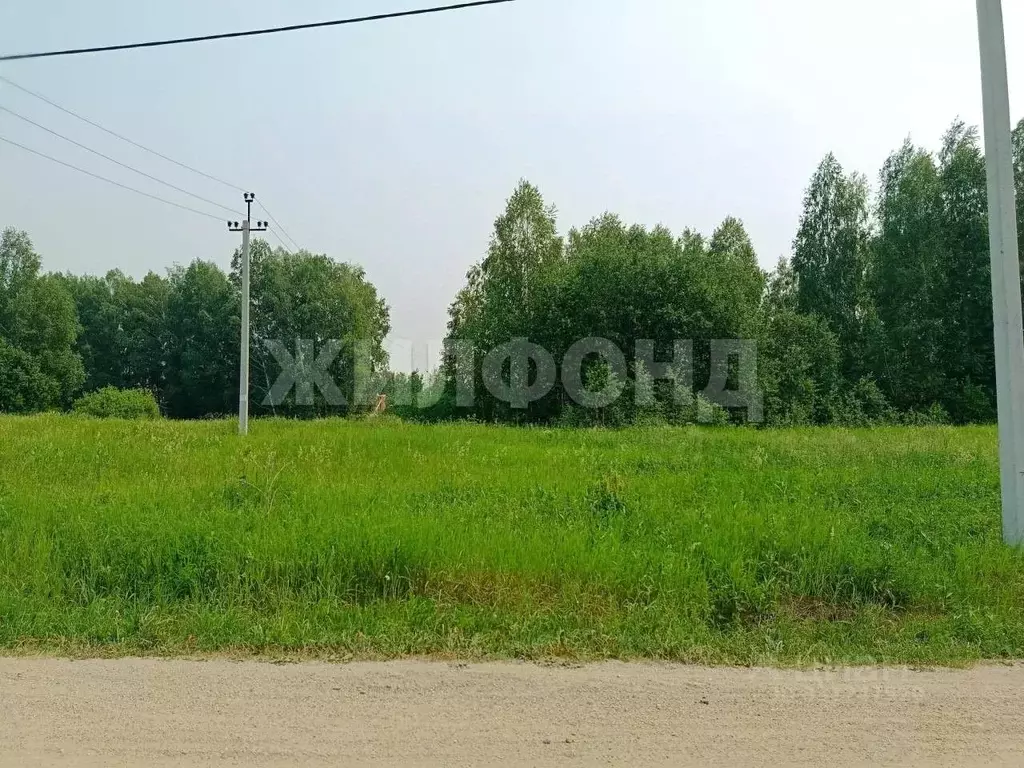 Участок в Новосибирская область, Новосибирский район, Кудряшовский ... - Фото 2