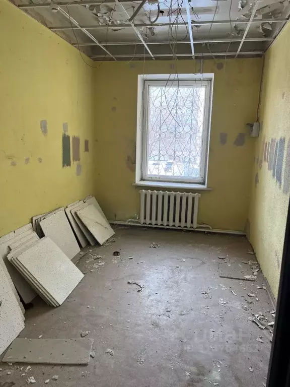 Помещение свободного назначения в Хабаровский край, Хабаровск ул. ... - Фото 1