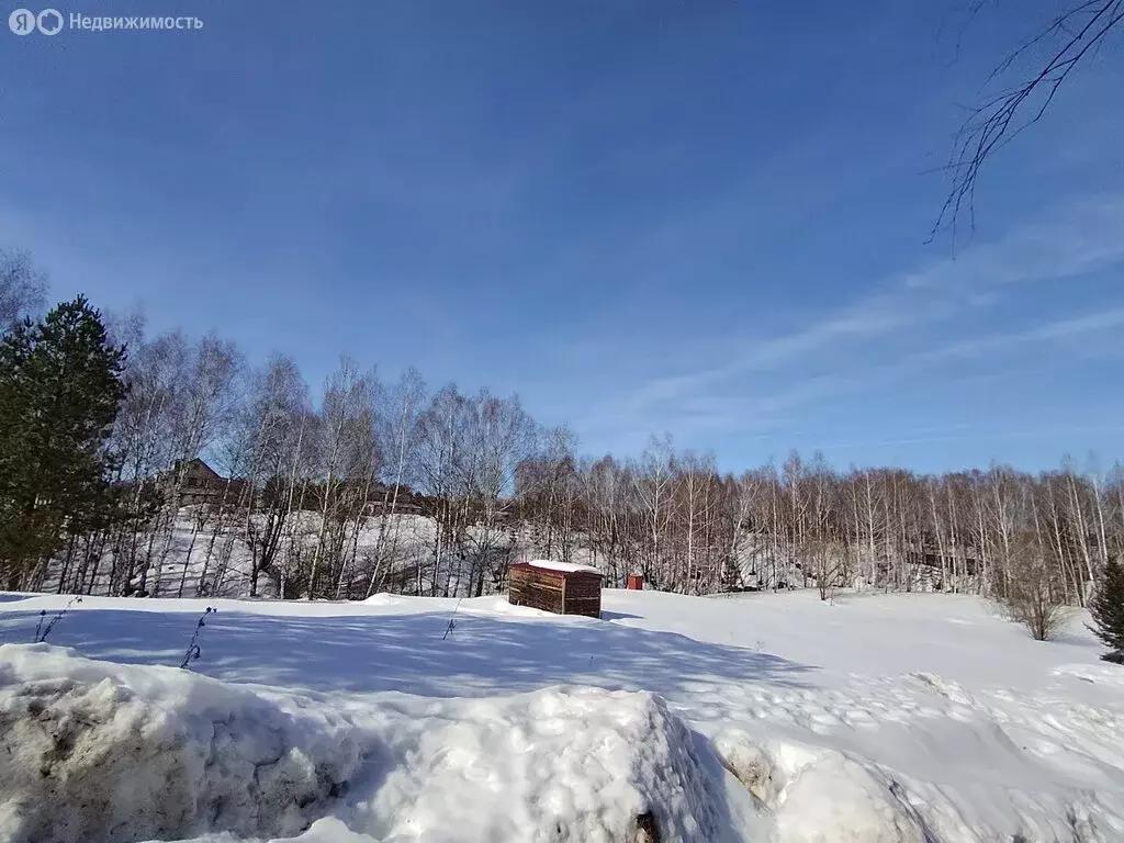 Участок в деревня Подвалиха, Футбольная улица (11.5 м) - Фото 2