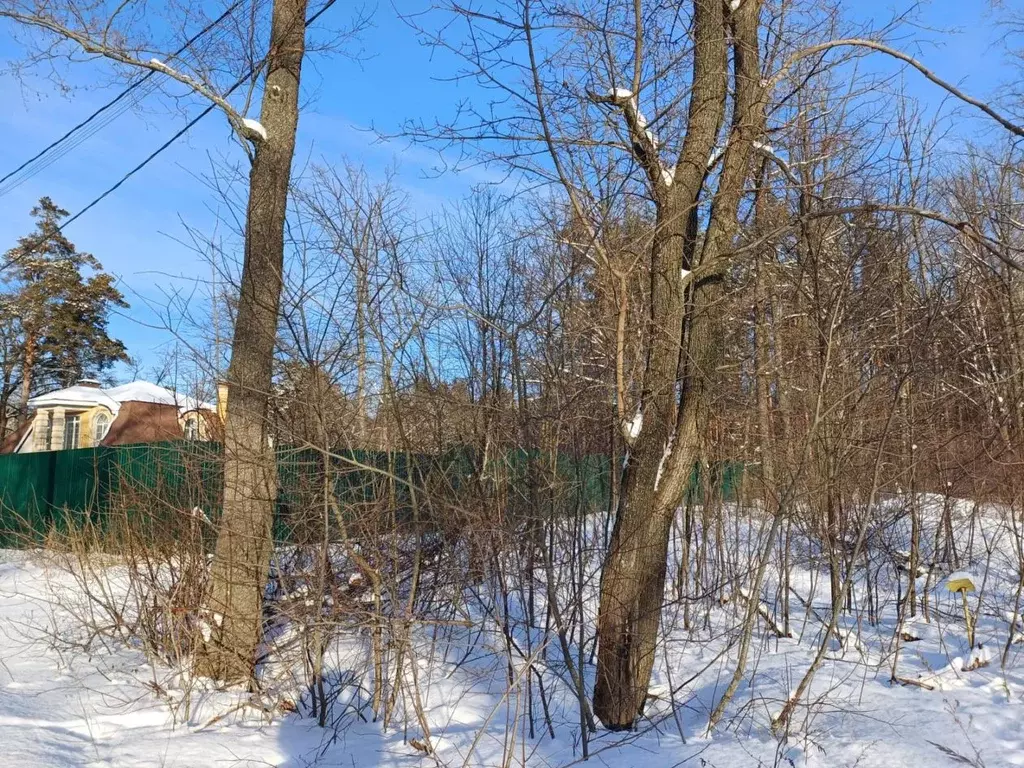 Участок в Тамбовская область, Тамбов городской округ, пос. Тригуляй ... - Фото 0