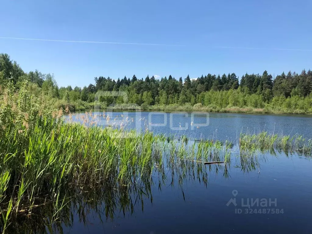 Участок в Московская область, Химки городской округ, д. Благовещенка  ... - Фото 2
