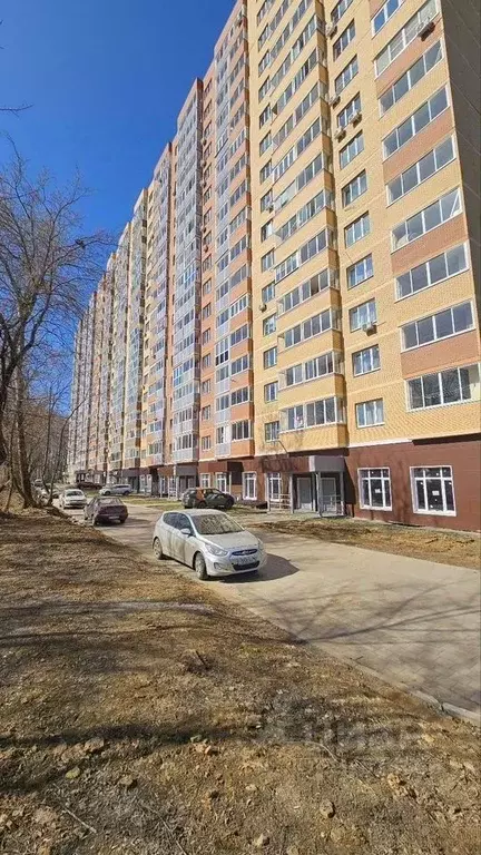 Помещение свободного назначения в Московская область, Ногинск ... - Фото 1
