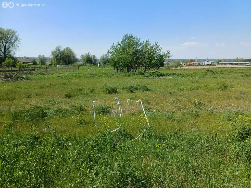 Участок в деревня Старые Ключищи, 67 (15 м) - Фото 2