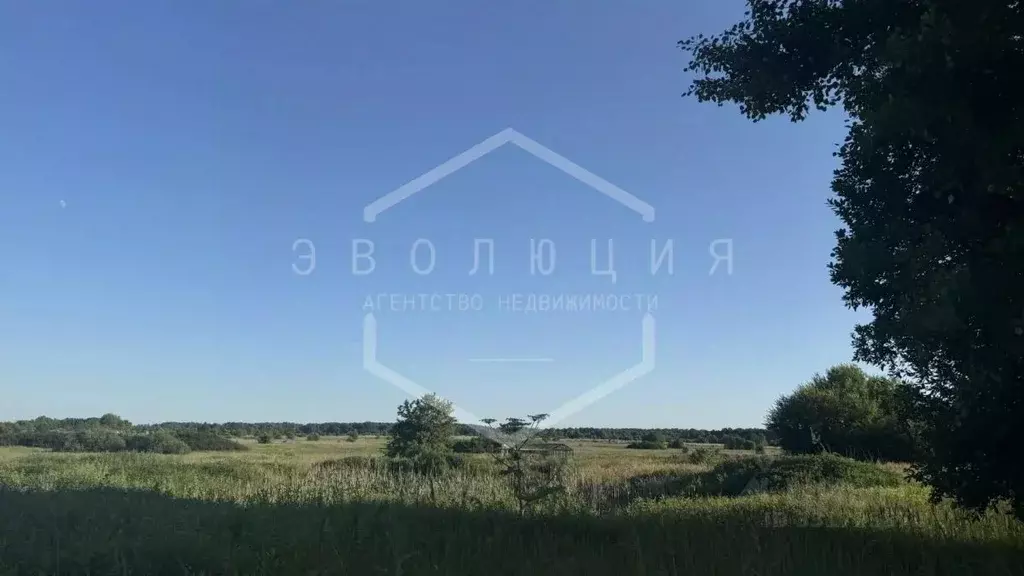 Участок в Калининградская область, Багратионовский муниципальный ... - Фото 1