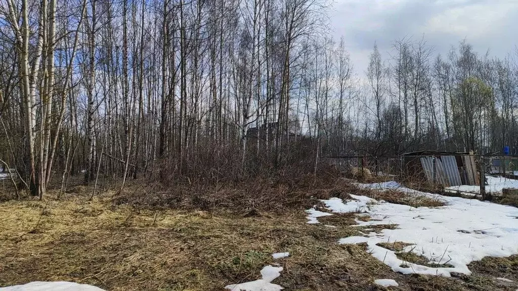 Участок в Московская область, Домодедово городской округ, д. Борисово ... - Фото 1
