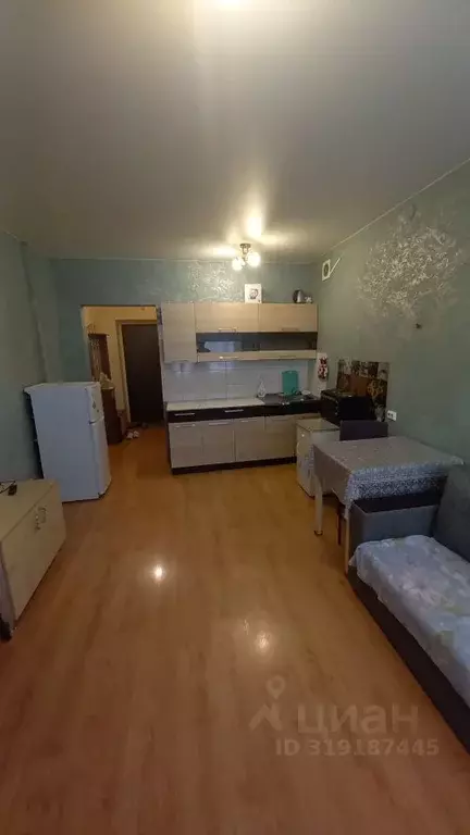 Студия Новосибирская область, Новосибирск ул. Надежды, 8 (24.3 м) - Фото 0
