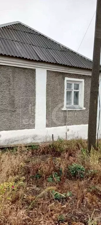 Дом в Воронежская область, с. Новая Усмань ул. Советская (94 м) - Фото 1