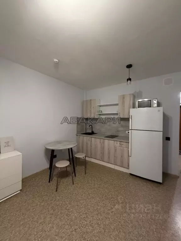 Студия Красноярский край, Красноярск ул. Лесников, 25 (25.0 м) - Фото 2