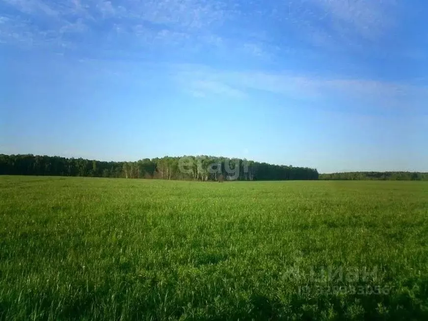 Участок в Свердловская область, Горноуральский муниципальный округ, д. ... - Фото 0