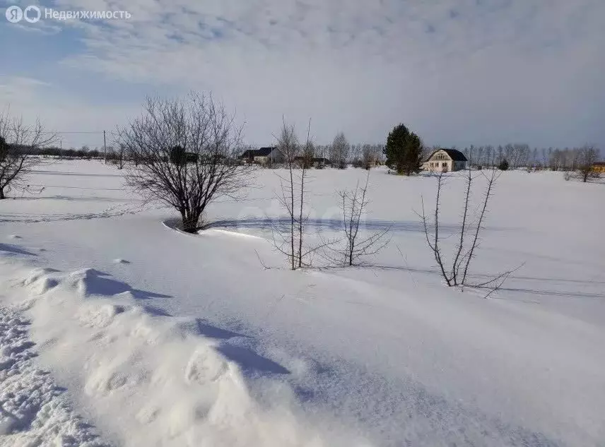 Участок в Майминский район, село Подгорное, Заречная улица (6 м) - Фото 1