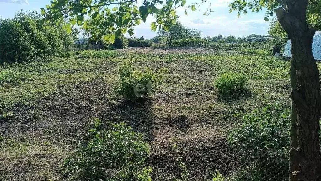 Участок в Белгородская область, Губкинский городской округ, с. Аверино ... - Фото 0