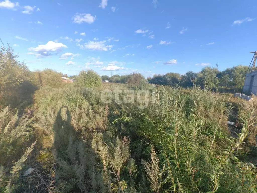 Участок в Амурская область, Благовещенский район, с. ... - Фото 2
