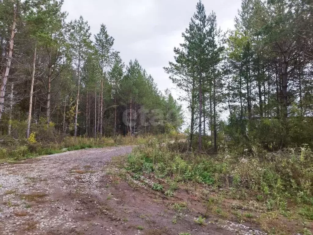 Участок в Свердловская область, Талица ул. Луначарского (10.0 сот.) - Фото 1