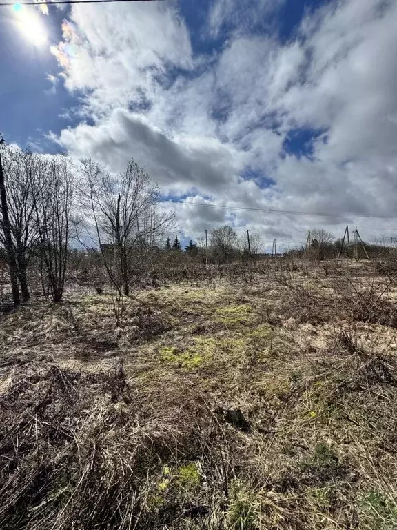 Участок в Московская область, Химки городской округ, д. Перепечино  ... - Фото 1