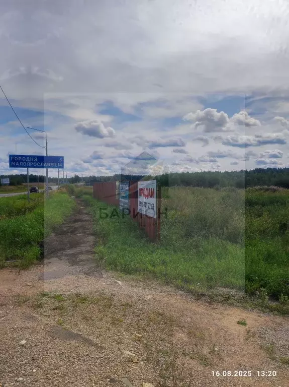 Участок в Калужская область, Совхоз Боровский с/пос, д. Тимашово ул. ... - Фото 2