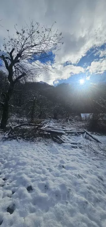 Участок в Краснодарский край, Сочи с. Эстосадок, ул. Дубравная (32.0 ... - Фото 1