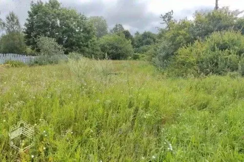 Участок в Новгородская область, Новгородский район, Савинское с/пос, ... - Фото 2