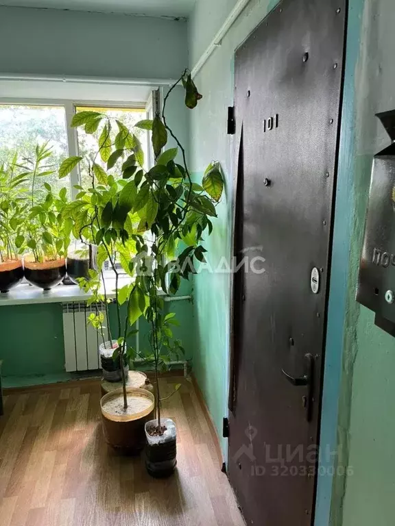 Комната Калужская область, Калуга Болотная ул., 15 (15.5 м) - Фото 2