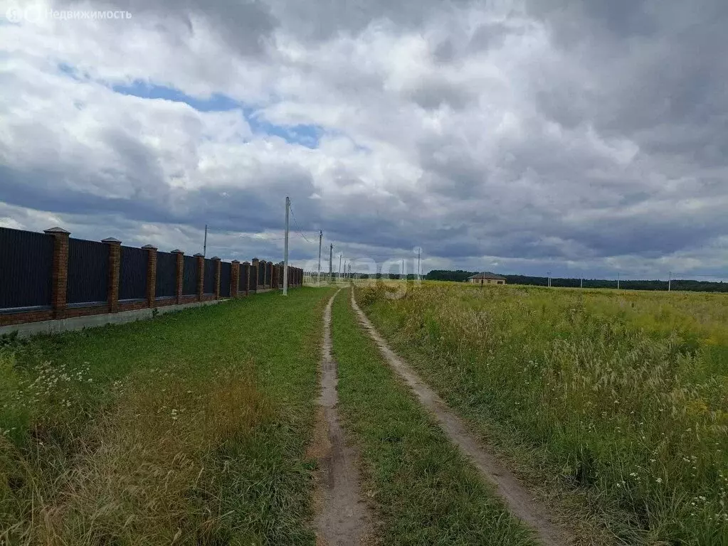 Участок в Мылинское сельское поселение, деревня Фроловка (12 м) - Фото 1