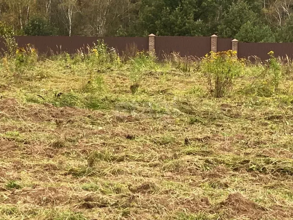 Участок в Калужская область, Боровский муниципальный округ, Кривское ... - Фото 2